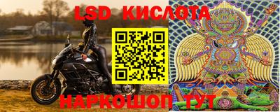 СК Краснодар